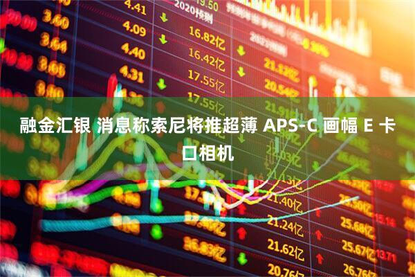 融金汇银 消息称索尼将推超薄 APS-C 画幅 E 卡口相机